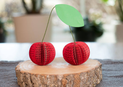 Cherry Decor-Book Gift-Paper Anniversary-Summer Fruit