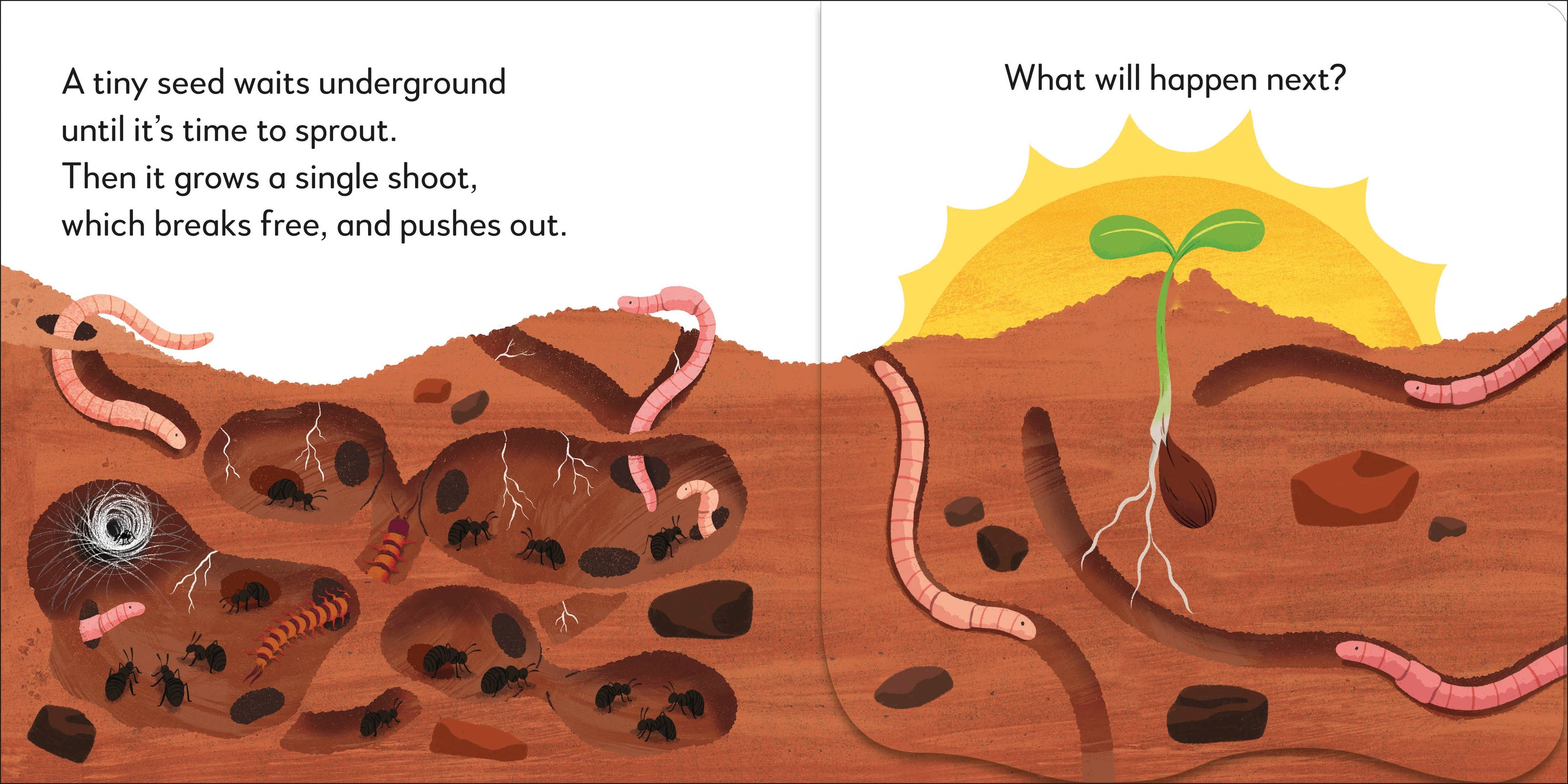 Popup Peek Tree