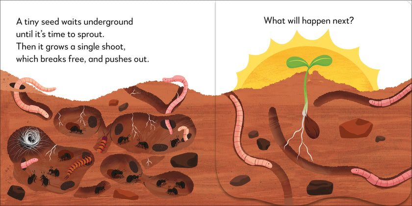 Popup Peek Tree