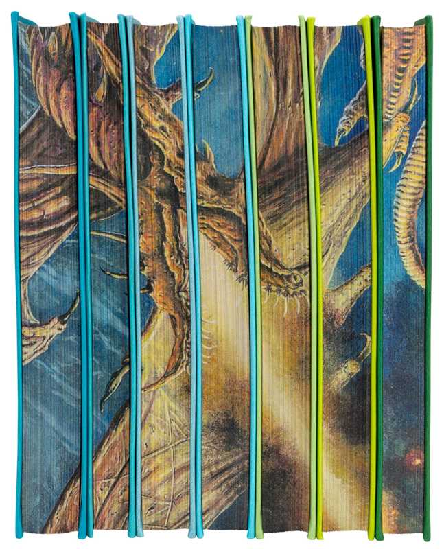 World of Tolkien Seven-Book Boxed Set by David Day