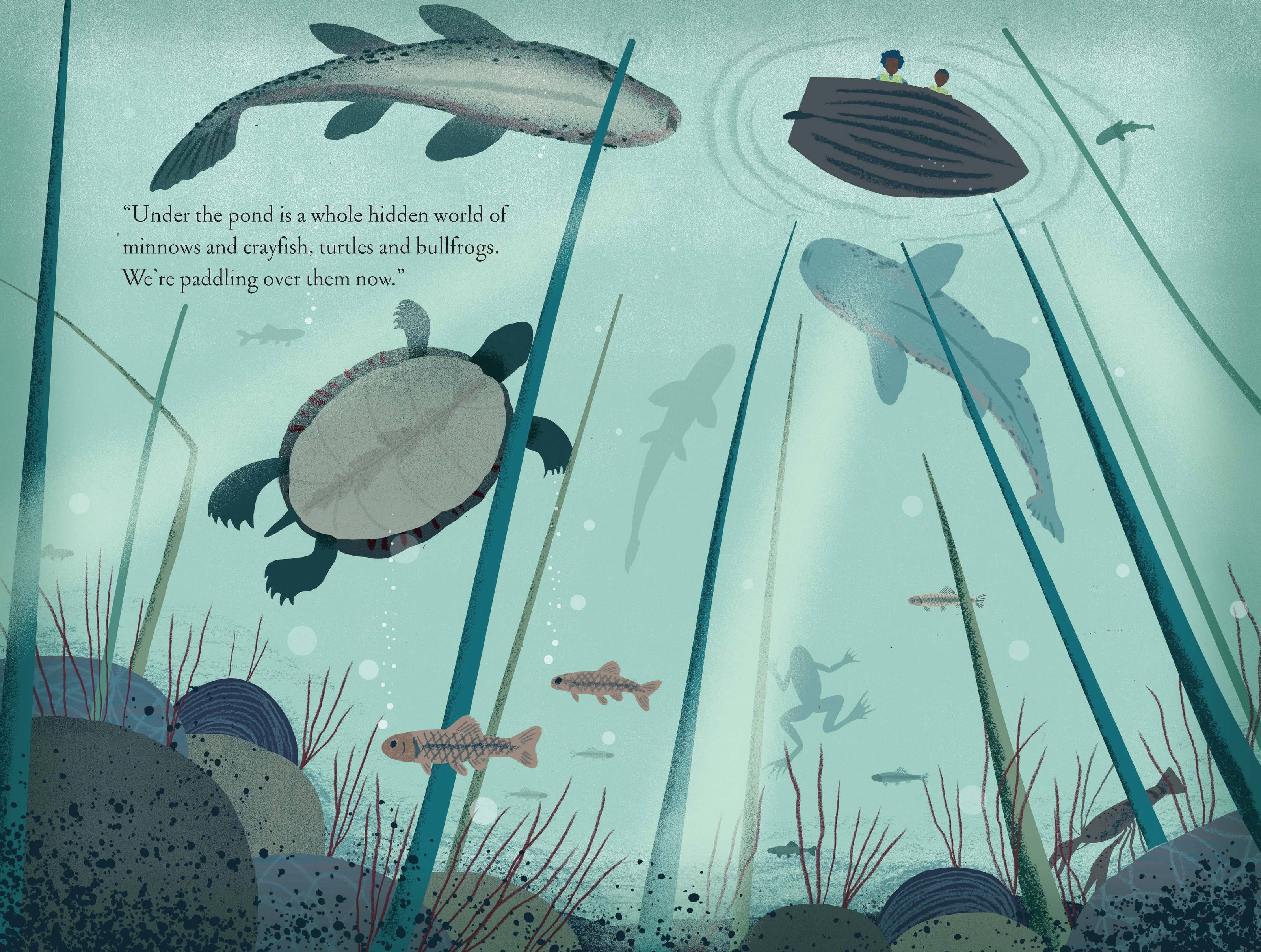 Over and Under the Pond