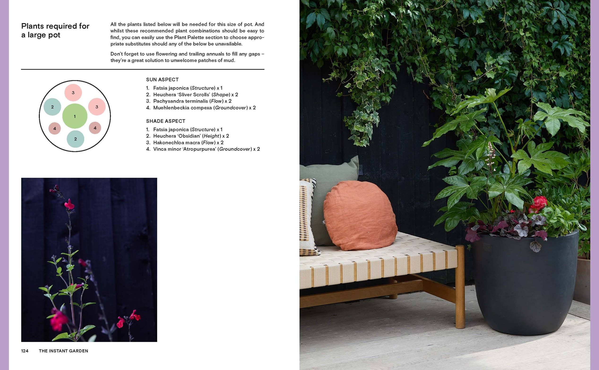 The Instant Garden