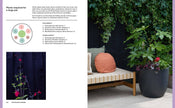 The Instant Garden