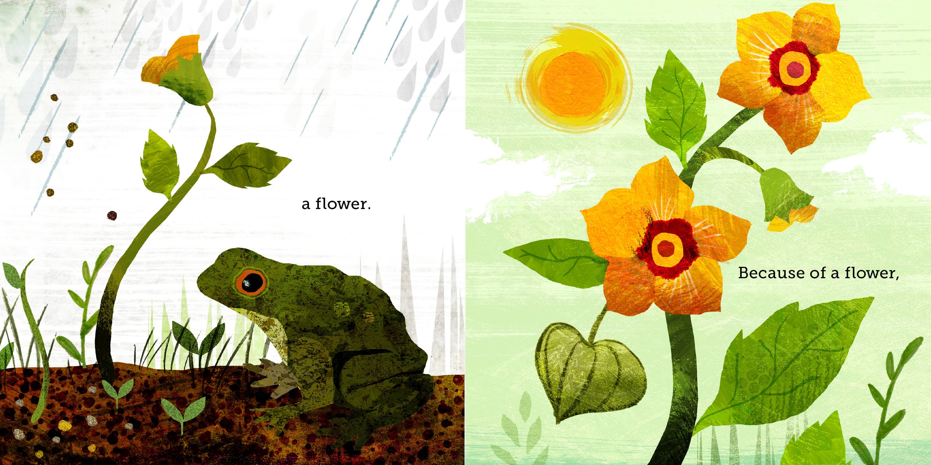 Because of an Acorn