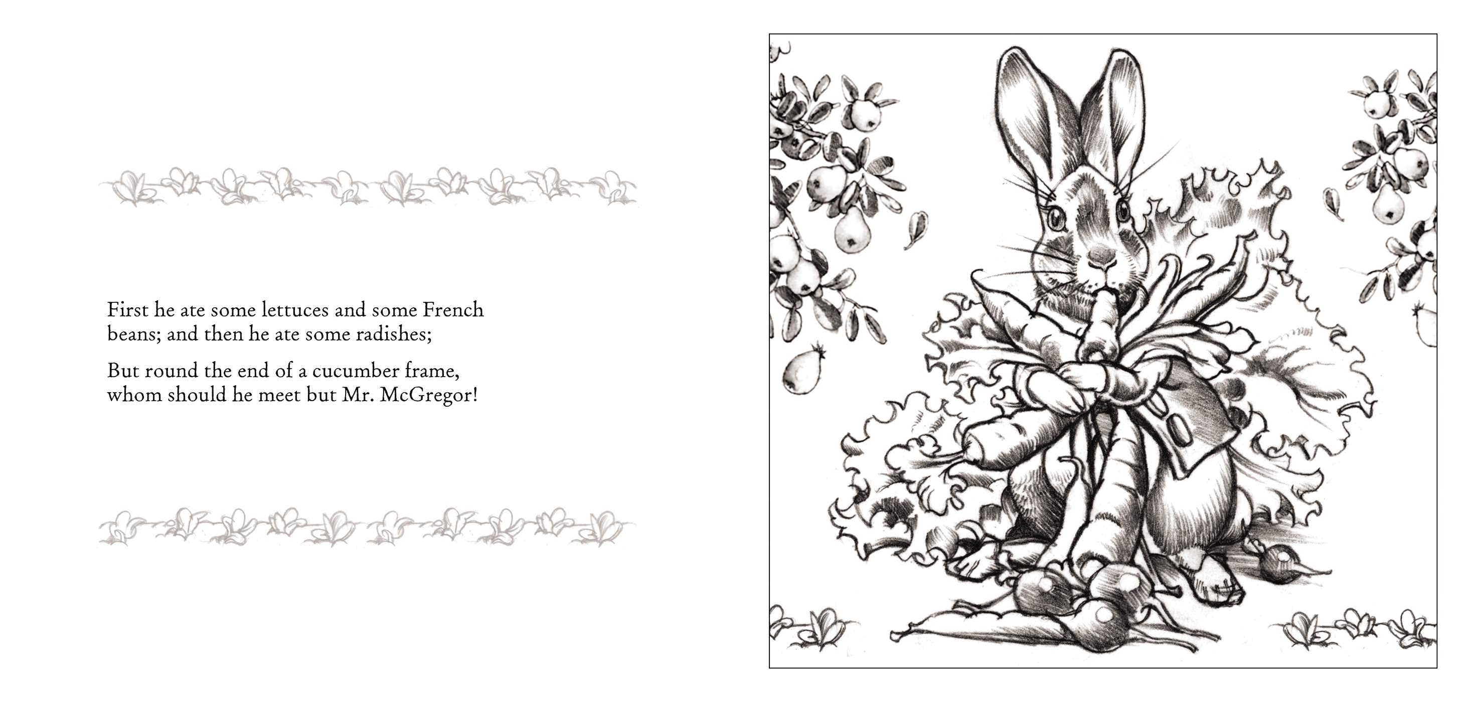 The Peter Rabbit Coloring Book (Classic Edition)