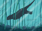 Over and Under the Pond
