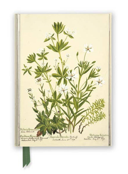 Charlotte Cowan Pearson: Stitchworts, Woodruff Journal