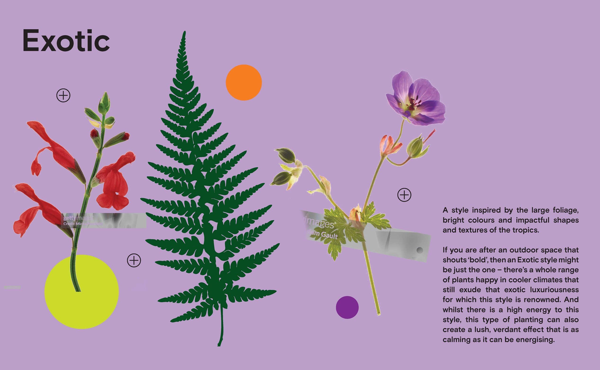 The Instant Garden