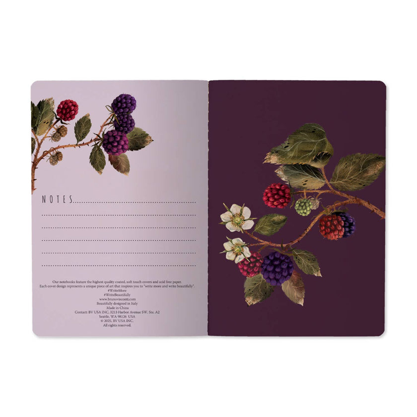 A5 Notebook -Wild Blackberry