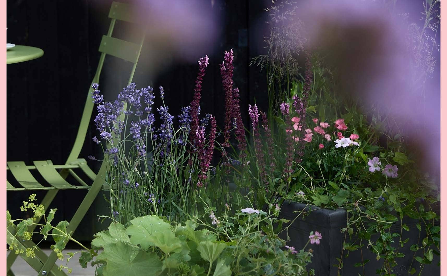 The Instant Garden