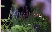 The Instant Garden