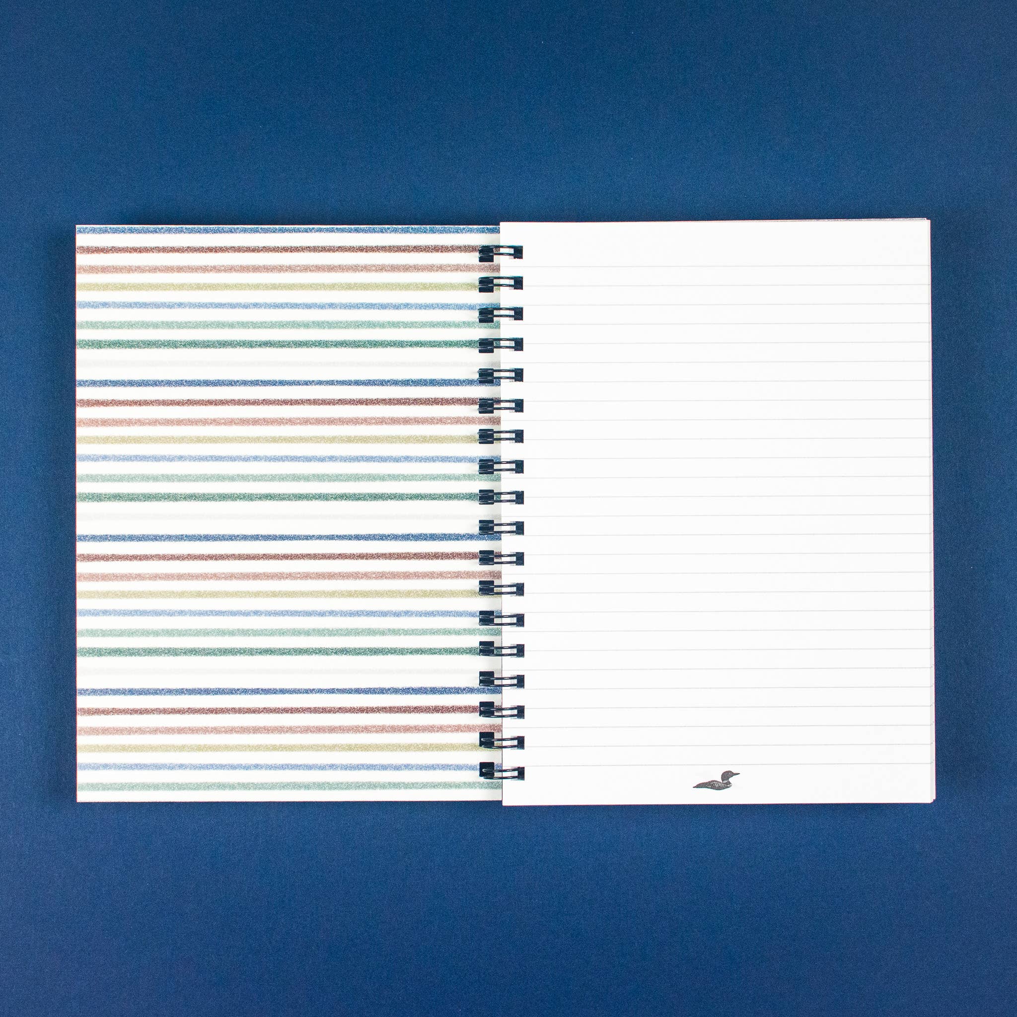 Scatter Large Notebook