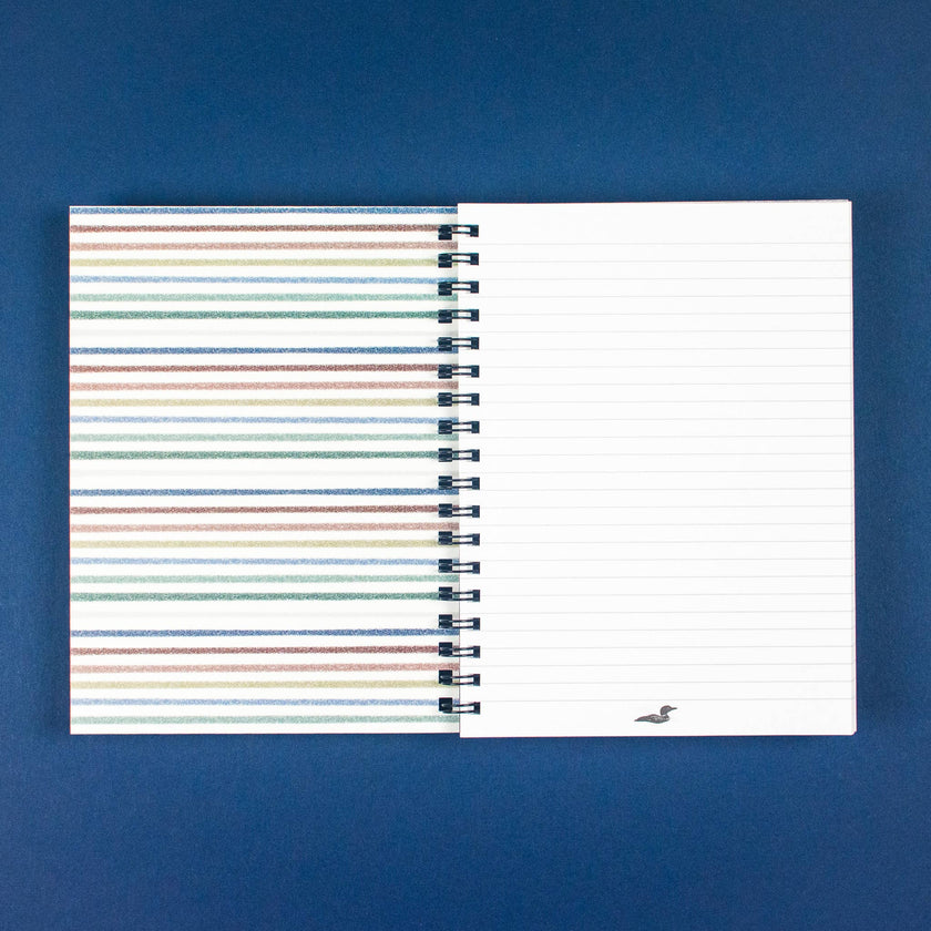 Scatter Large Notebook