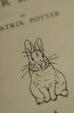 *The Tale of Peter Rabbit by Beatrix Potter 1902 Book Journal