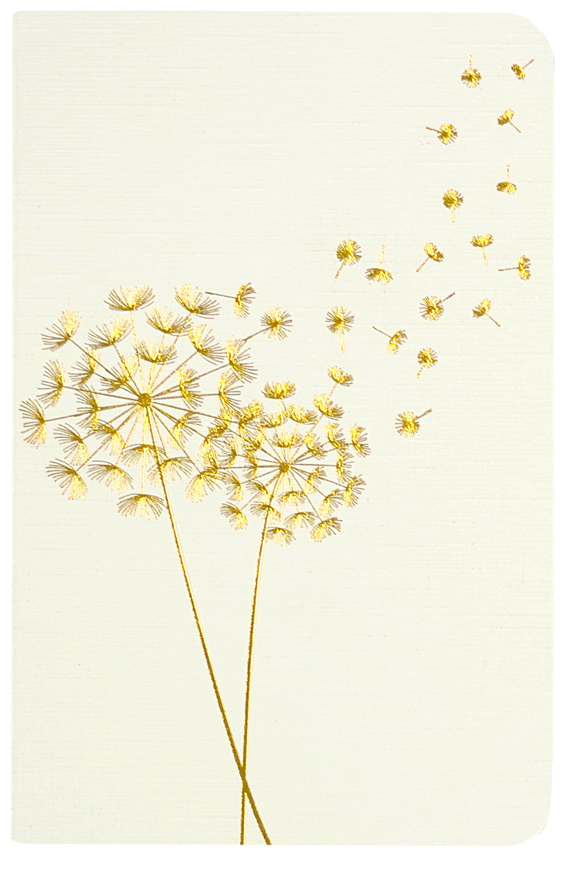 Jotter Mini Notebook Set: Dandelion Wishes