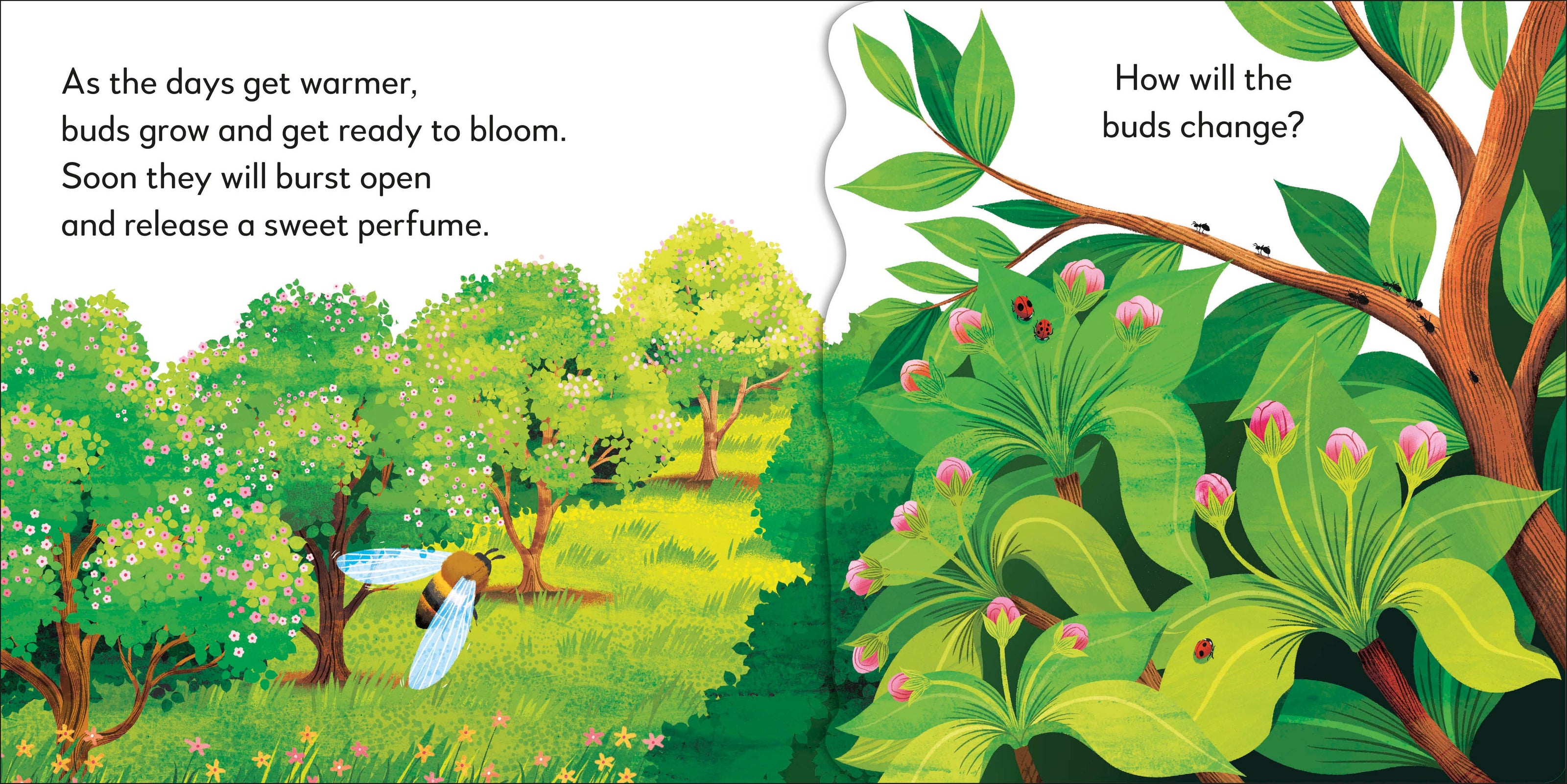 Popup Peek Tree