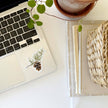 Pinecone sticker