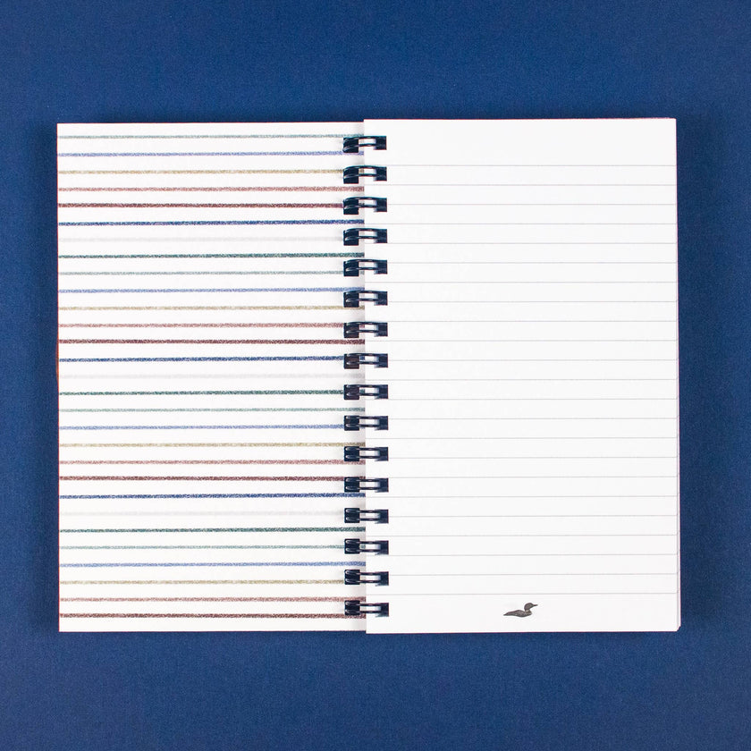 Scatter Medium Notebook