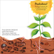 Popup Peek Tree