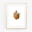 Acorn watercolor wall art print