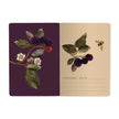 A5 Notebook -Wild Blackberry