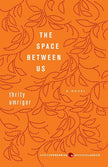 The Space Between Us