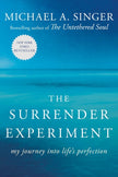 The Surrender Experiment: My Journey Into Life's Perfection