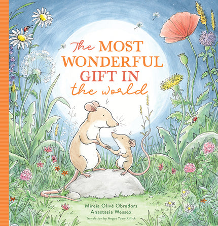Love Like River and Sky: A Grandma Loves You Book