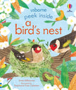 Peek Inside a Bird's Nest