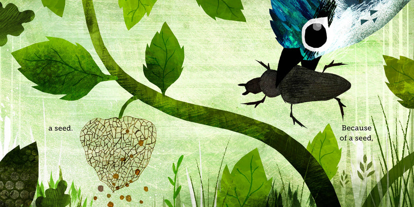 Because of an Acorn