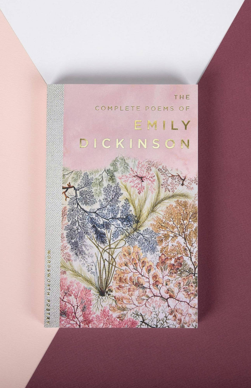 Poems of Emily Dickinson | Wordsworth Poetry Book