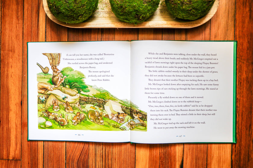 The Classic Tale of Peter Rabbit: The Collectible Leather Ed