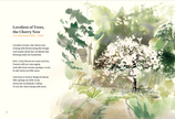 The Book of Tree Poems