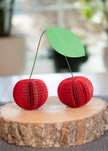 Cherry Decor-Book Gift-Paper Anniversary-Summer Fruit
