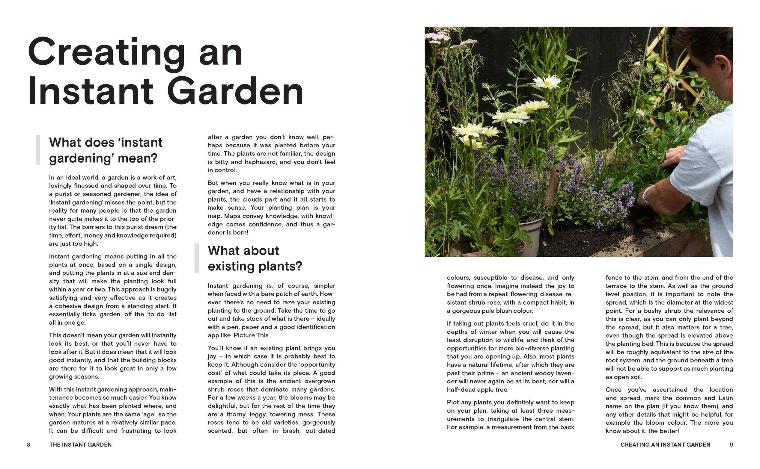 The Instant Garden