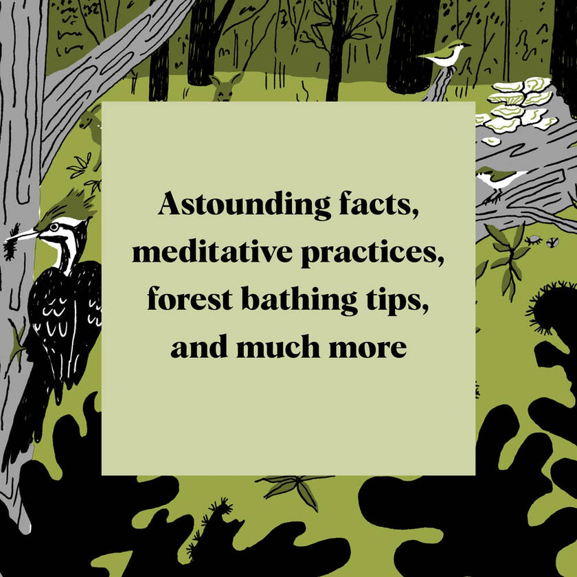 Pocket Nature: Tree Hugging