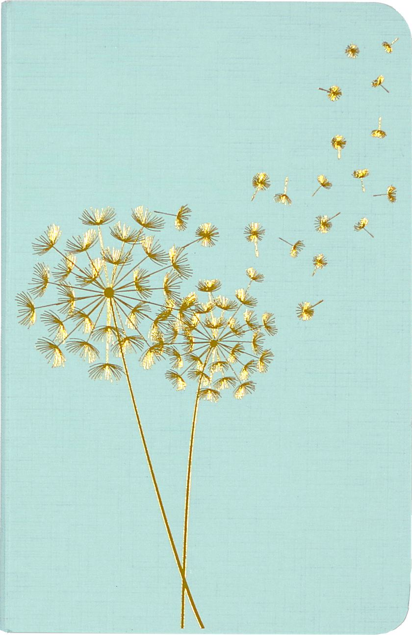 Jotter Mini Notebook Set: Dandelion Wishes