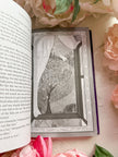 The Enchanted April Book - Illustrated - Gold Edges