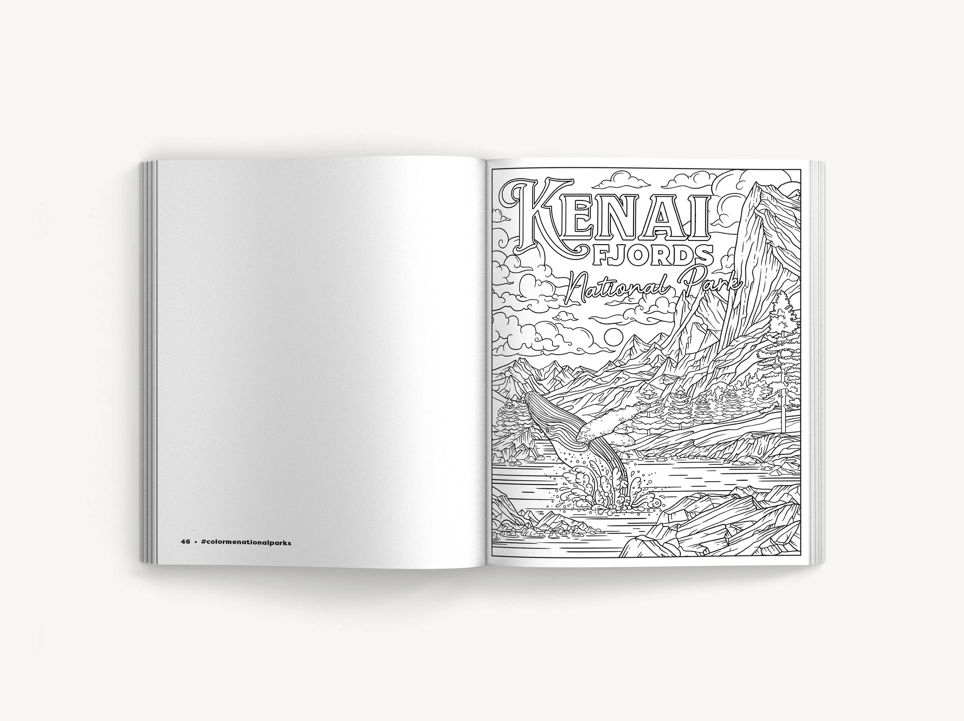 Color Me National Parks: An Adventurous Coloring Book