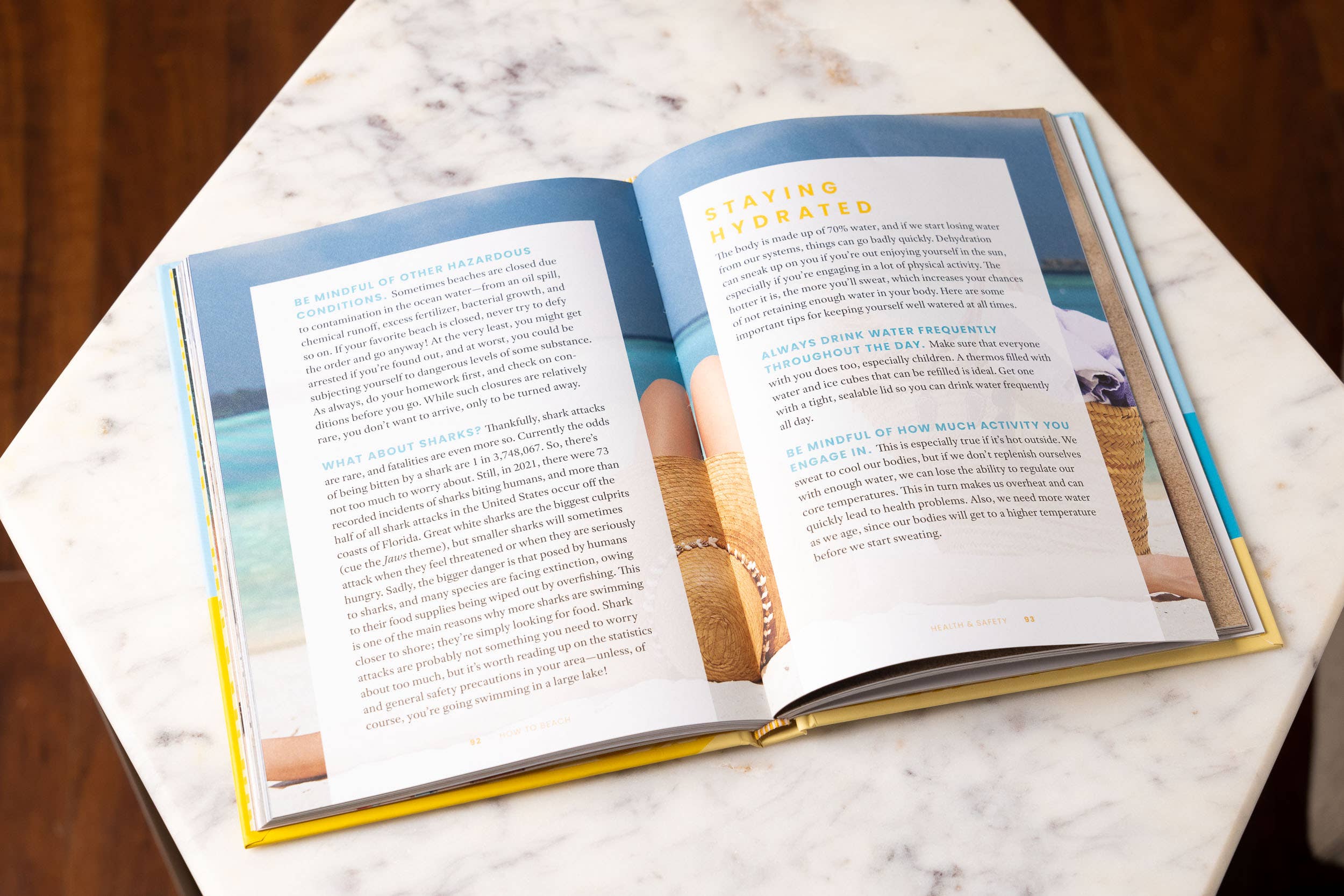 How to Beach: The Professional Beachgoer's Guidebook