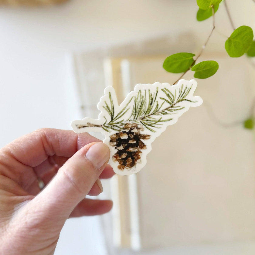 Pinecone sticker