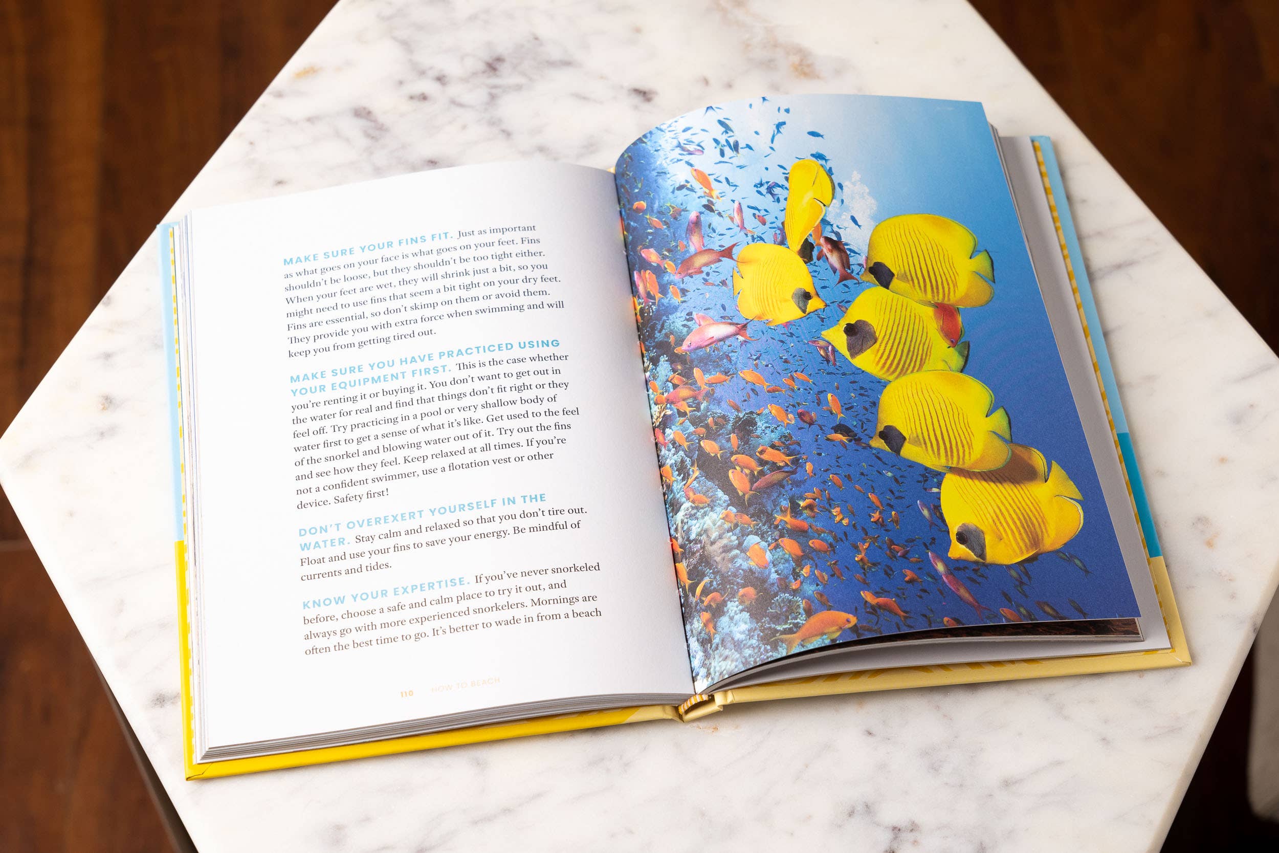 How to Beach: The Professional Beachgoer's Guidebook