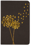 Jotter Mini Notebook Set: Dandelion Wishes