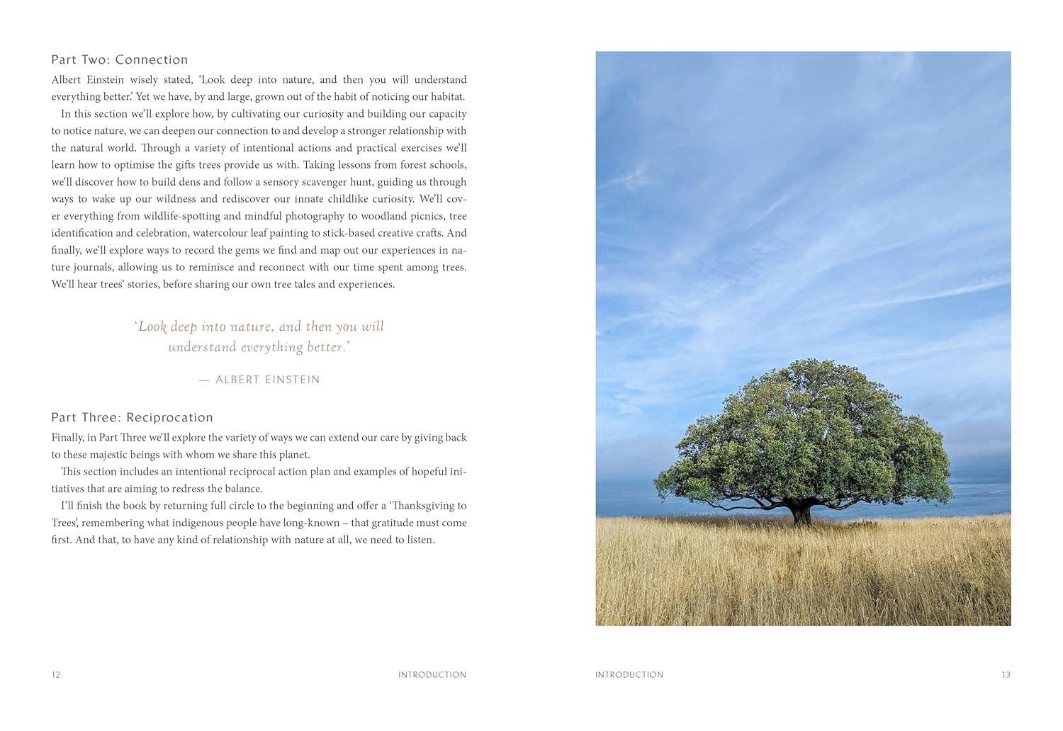 Tree Glee: How and Why Trees Make Us Feel Better