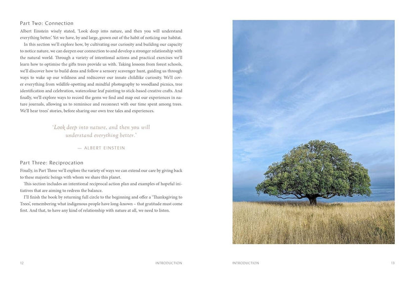 Tree Glee: How and Why Trees Make Us Feel Better