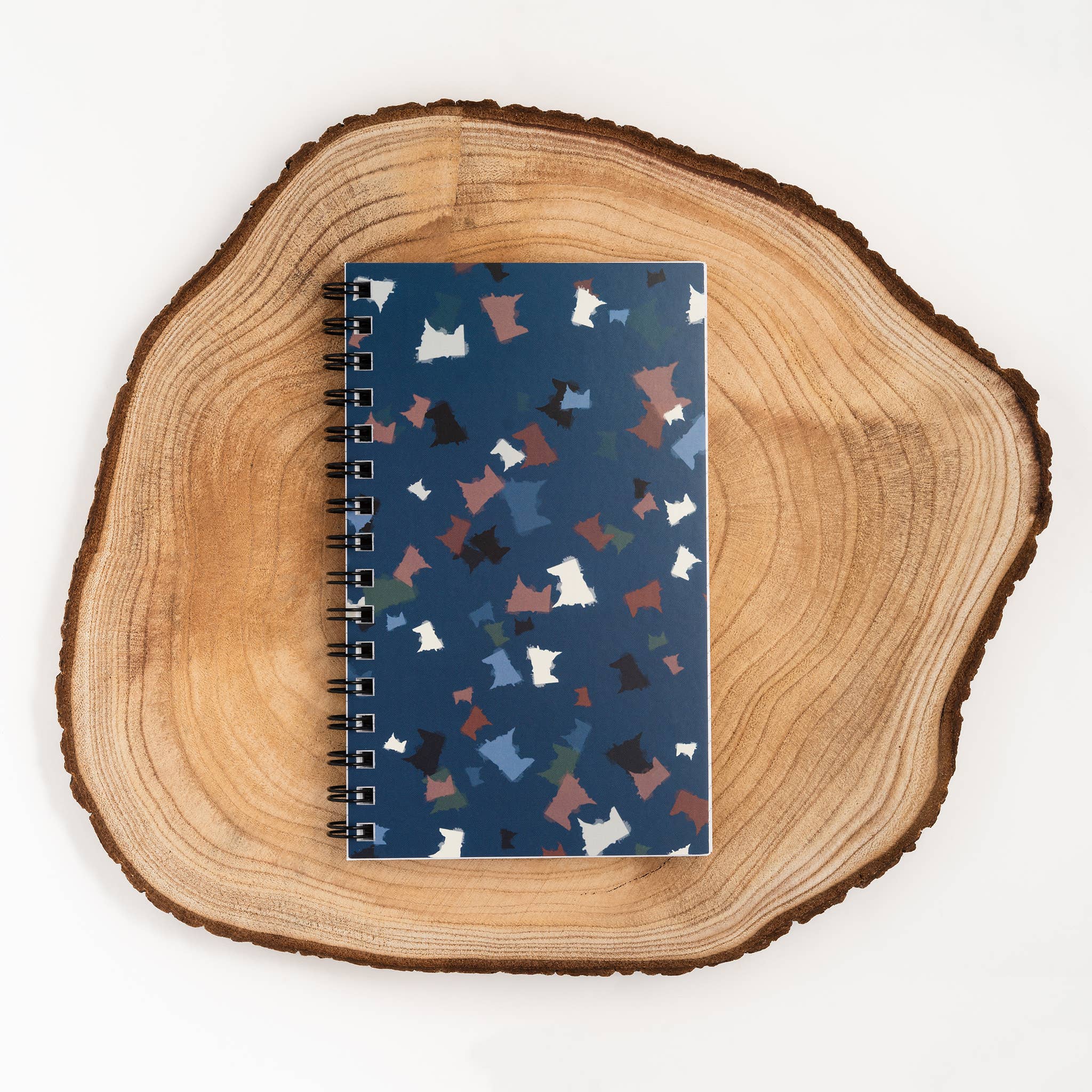 Scatter Medium Notebook