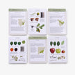 Sibley Tree Identification Flashcards