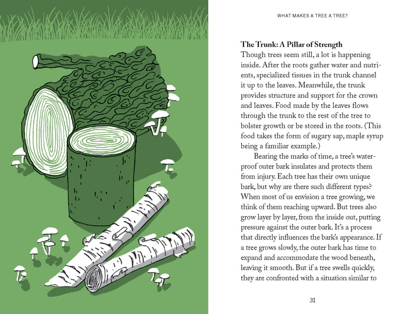 Pocket Nature: Tree Hugging